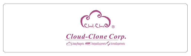 cloud-clone corp