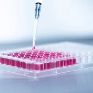 CELL CULTURE & ASSAY KITS