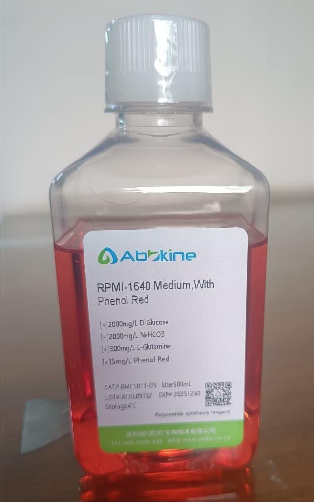 WhatsApp Image 2025-11-05 at 18.23.15 (1)