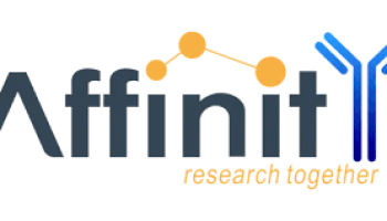 Affinity