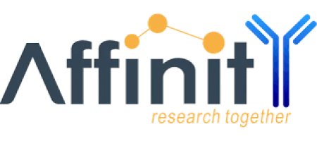 Affinity