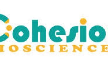 Cohesion