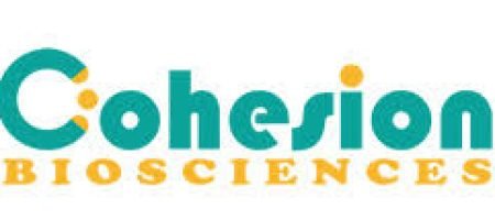 Cohesion